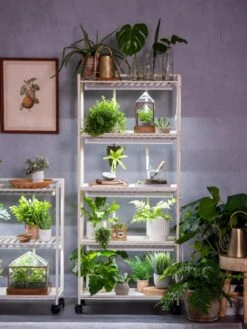 Oslo 4-Tier LED Grow Light Garden 21 Oslo 4-Tier LED Grow Light Garden -Gardeners 8609220 4116 tif