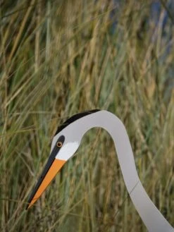 Florida Dancing Birds®, Great Blue Heron -Gardeners 8609451 03V jpg