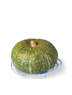Melon And Squash Cradles, Set Of 6 8 Melon And Squash Cradles, Set Of 6 -Gardeners 8609464 5204 tif