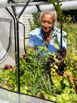 VegTrug®Patio Garden Greenhouse Cover Kit -Gardeners 8610172 1256