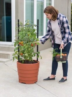 Gardener’s Victory Self-Watering Planter Garden Kit -Gardeners 8610239 06002 tif