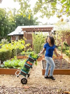 Mod Hod Trolley With Teal Mod Hods -Gardeners 8610240 0070 tif