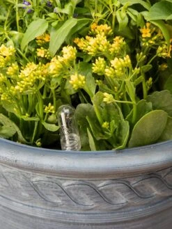 Adjustable Self-Watering Insert For Pots And Planters -Gardeners 8610250 0010 tif