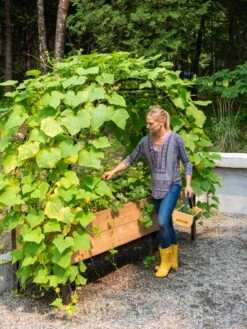 Gardeners -Gardeners 8610798 062 tif