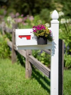 Mailbox Planter -Gardeners 8611026 014 tif