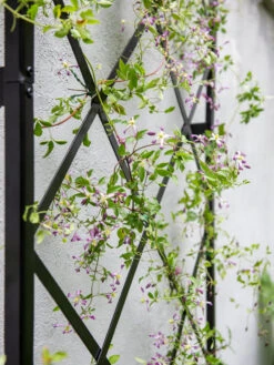 Lattice Gable Wall Trellis -Gardeners 8611130 011