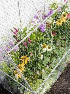 Chicken Wire Flat Back Crop Coop -Gardeners 8611701 153 tif