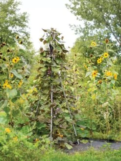 DIY Connector For Teepee Trellis -Gardeners 8611896 062 tif