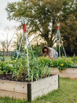 DIY Connector For Teepee Trellis -Gardeners 8611896 38 tif