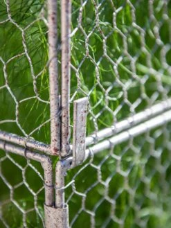 Chicken Wire Crop Coop Extension -Gardeners 8611940 232 tif