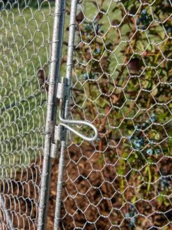 Chicken Wire Super Dome -Gardeners 8611977 017 tif