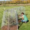 Chicken Wire Super Dome -Gardeners 8611977 019 tif