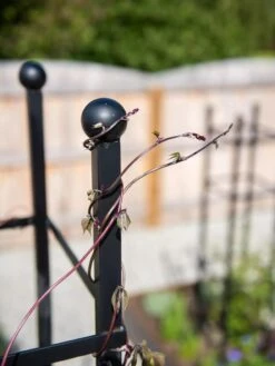 Essex Square Obelisk -Gardeners 8611984 278 tif