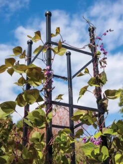 Essex Square Obelisk -Gardeners 8611984 354 tif