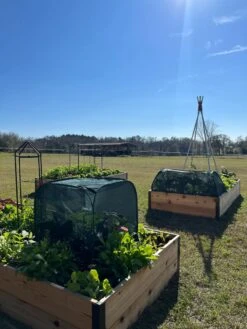 Pest Control Pop-Ups -Gardeners 8611989 05 tif