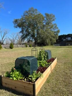 Pest Control Pop-Ups -Gardeners 8611989 08 tif