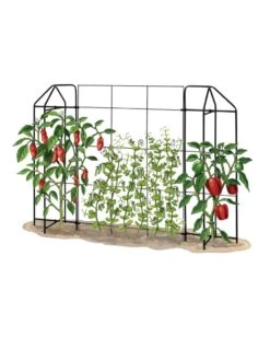 Zenith Trellis -Gardeners 8612035 art tif