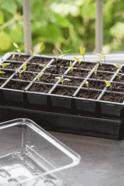 Seedling Transplant Tongs -Gardeners 8612047 SeedlingTransplantTongs gif