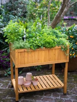 VegTrugĀ® Self-Watering Herb Planter Box
