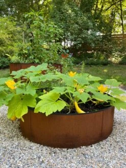 Birdies™ Corten Steel Round Raised Beds -Gardeners 8612422 0484 tif