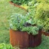 Birdies™ Corten Steel Round Raised Beds -Gardeners 8612423 1537 tif