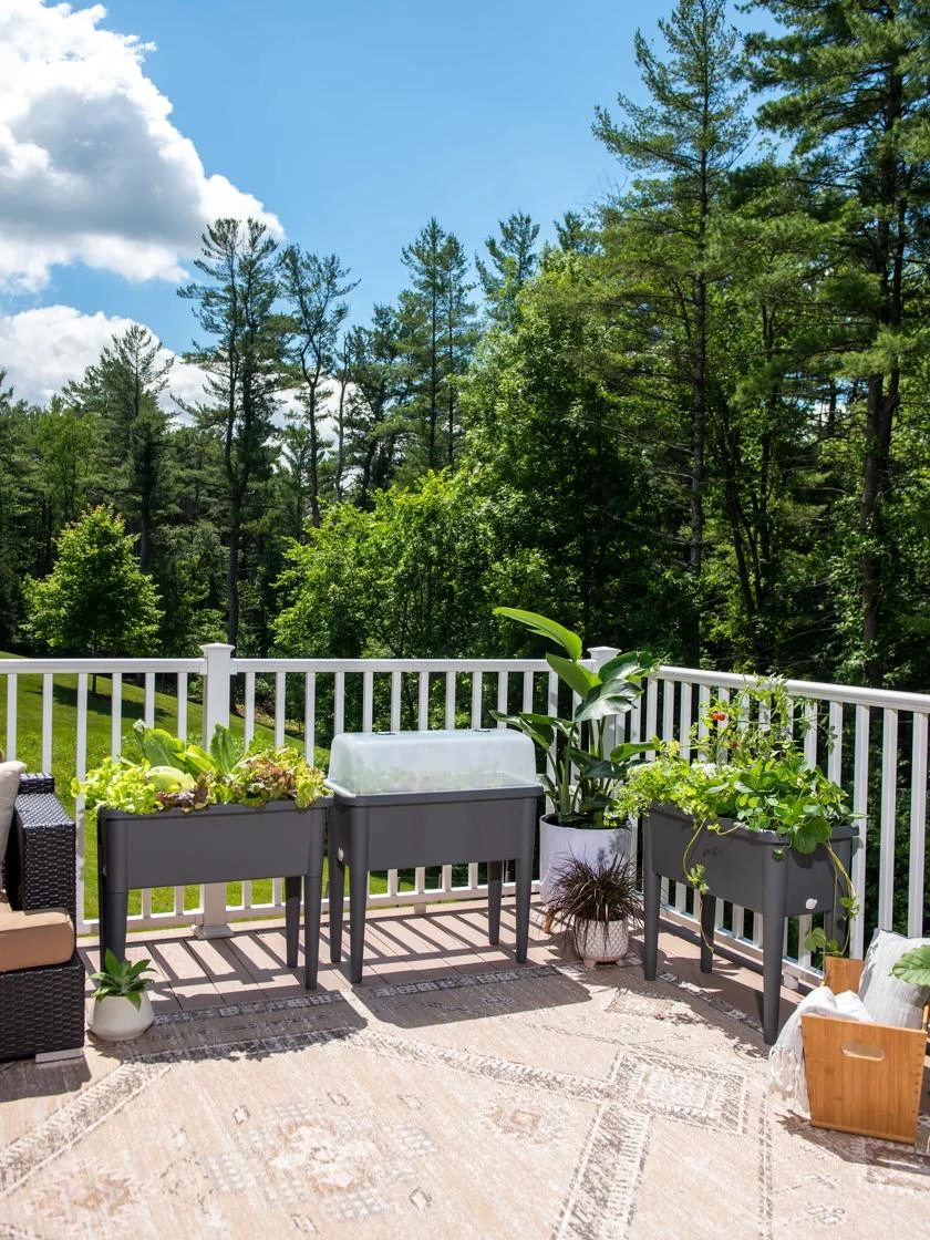 Self-Watering Standing Salad Planter With Cloche 7 Self-Watering Standing Salad Planter With Cloche - Image 5