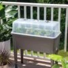 Self-Watering Standing Salad Planter With Cloche 1 Self-Watering Standing Salad Planter With Cloche -Gardeners 8612702 2032 tif