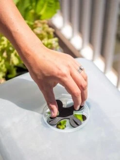 Self-Watering Standing Salad Planter With Cloche 11 Self-Watering Standing Salad Planter With Cloche -Gardeners 8612702 2034 tif