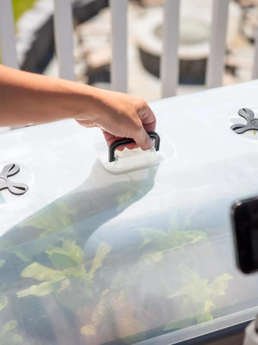 Self-Watering Standing Salad Planter With Cloche 6 Self-Watering Standing Salad Planter With Cloche - Image 4