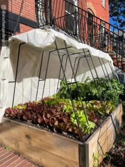 Zenith Garden Hoops, Set Of 4 -Gardeners 8612816 01CUST