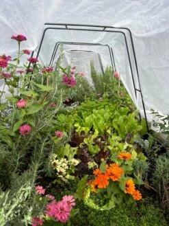 Zenith Garden Hoops, Set Of 4 -Gardeners 8612816 01TEST