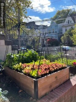 Zenith Garden Hoops, Set Of 4 -Gardeners 8612816 02CUST