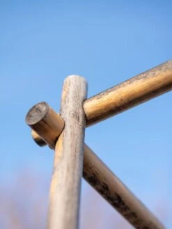 Bamboo Tomato Cages, Set Of 3 -Gardeners 8613143 0385