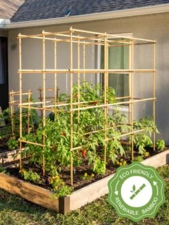 Tomato Six Pack Support