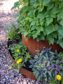 Birdies™ Corten Steel Tiered Round Raised Bed Kit, Tall -Gardeners 8613245 0195