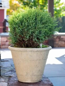 Self-Watering LavaStone® Anson Pot -Gardeners 8613255 0144
