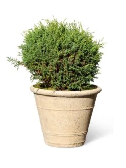 Self-Watering LavaStone® Anson Pot -Gardeners 8613255 0150