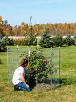 Tall Chicken Wire Critter Fence With Gate -Gardeners 8613260 0044