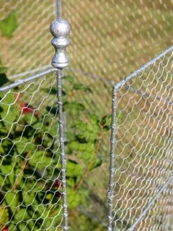 Tall Chicken Wire Critter Fence With Gate -Gardeners 8613260 0083