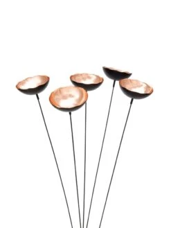 Copper Poppy Sways, Set Of 5 -Gardeners 8613342 9215