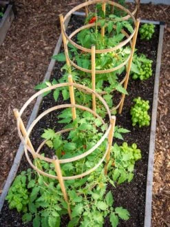 Bamboo Tomato Cages, Set Of 3 -Gardeners 8613426 6916