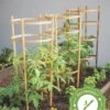 Bamboo Tomato Cages, Set Of 3 -Gardeners 8613426 7