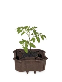 ECO Deluxe Tomato Halo, Set Of 2 -Gardeners 8613481 1009