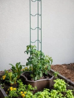 ECO Deluxe Tomato Halo, Set Of 2 -Gardeners 8613481 6594