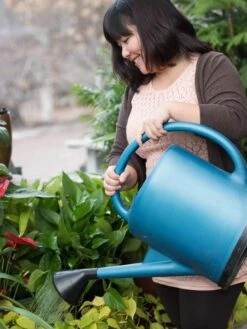 French Blue Watering Can 15 French Blue Watering Can -Gardeners EmilyHoangSquare 0151 tif