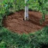 Coco Coir Tree Rings, Set Of 2 -Gardeners GS33501 04 001E tif
