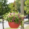 Self-Watering Hanging Basket -Gardeners GS34368 10 tif