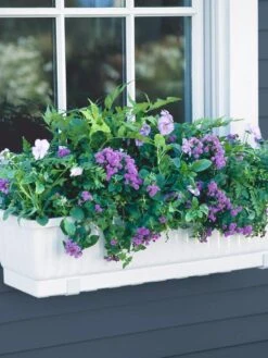 Gardeners 27 23" Self-Watering Window Box