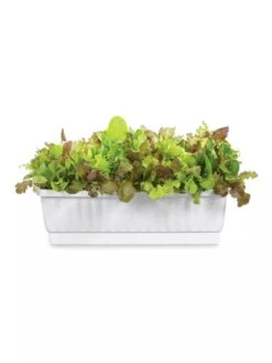 31" Self-Watering Window Box -Gardeners GS36523 01Z 3 4