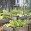 Sustainable Raised Beds -Gardeners GS38653 02 tif